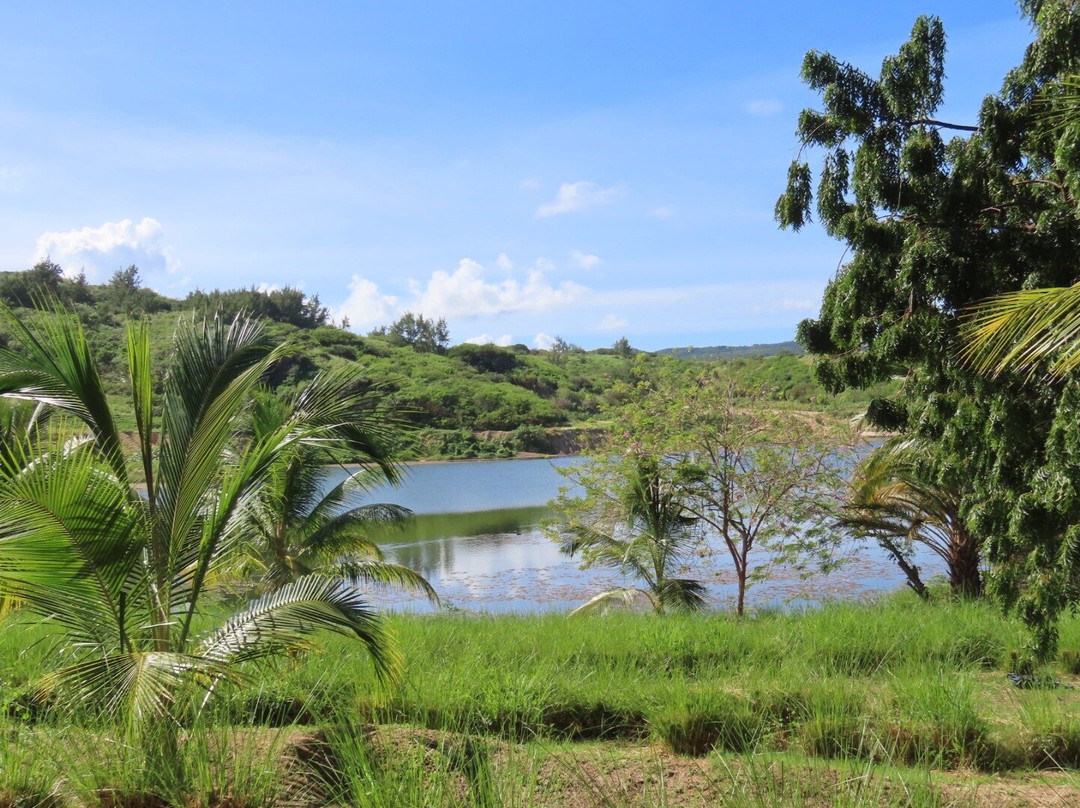 Walkers Reserve-布里奇顿必去景点