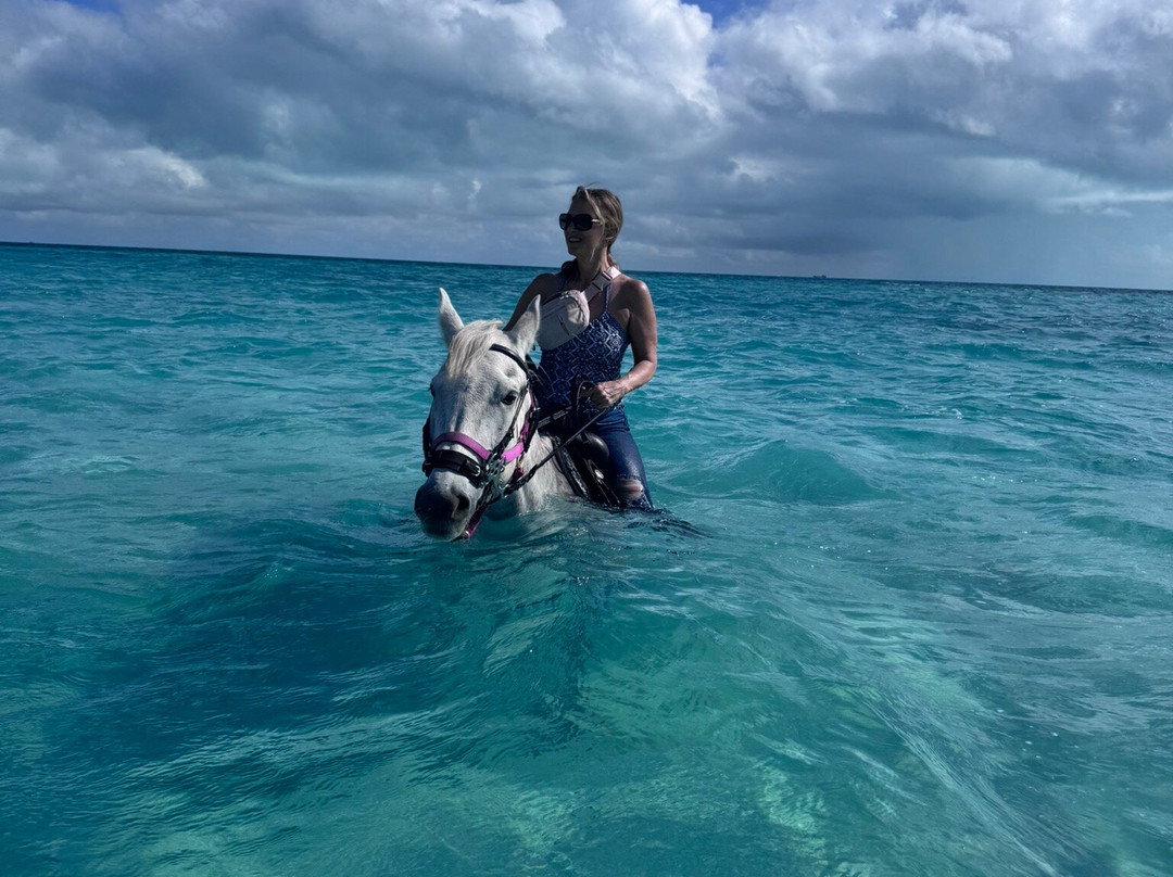 Provo Ponies-Long Bay Hills必去景点