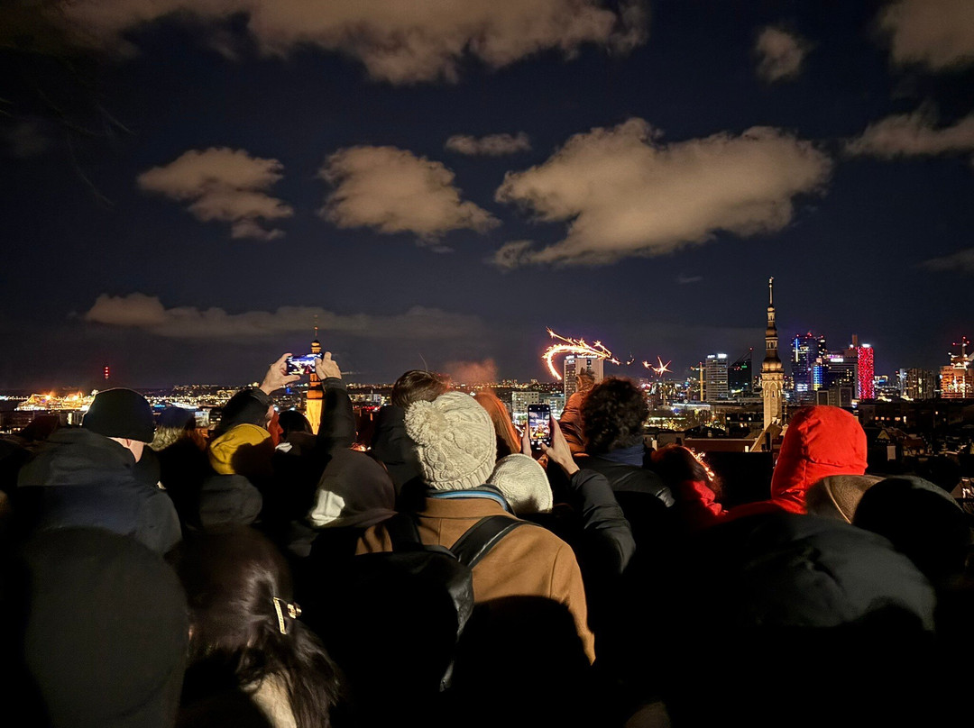 Viewing Point Kohtuotsa-塔林必去景点