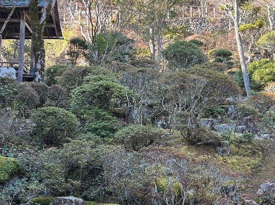 Kongojoji Temple-福崎町必去景点