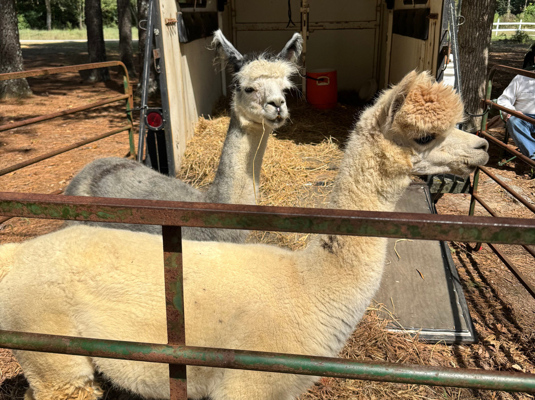 Millstone Creek Orchards-Ramseur必去景点