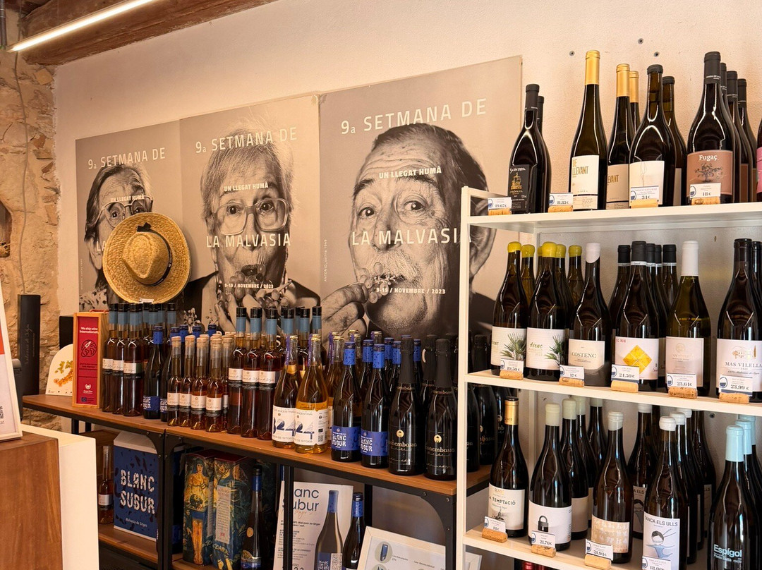 Centre d'Interpretacio De La Malvasia-锡切斯必去景点