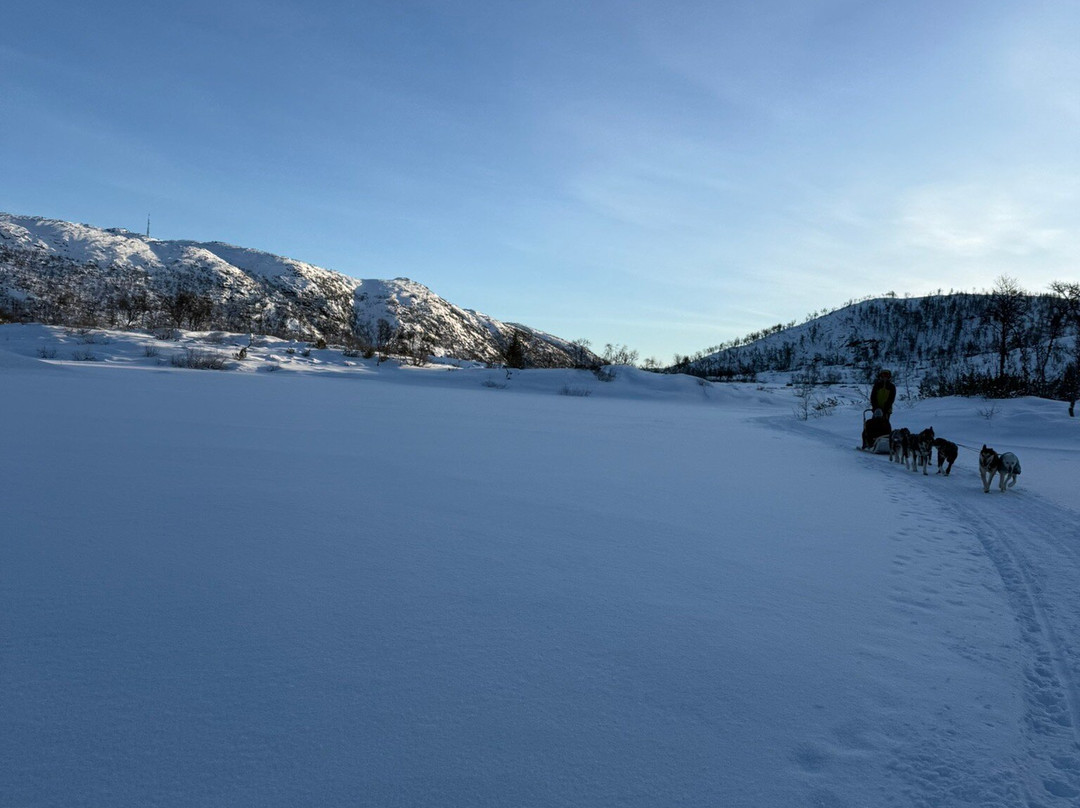 Haukeli Husky-Rauland必去景点