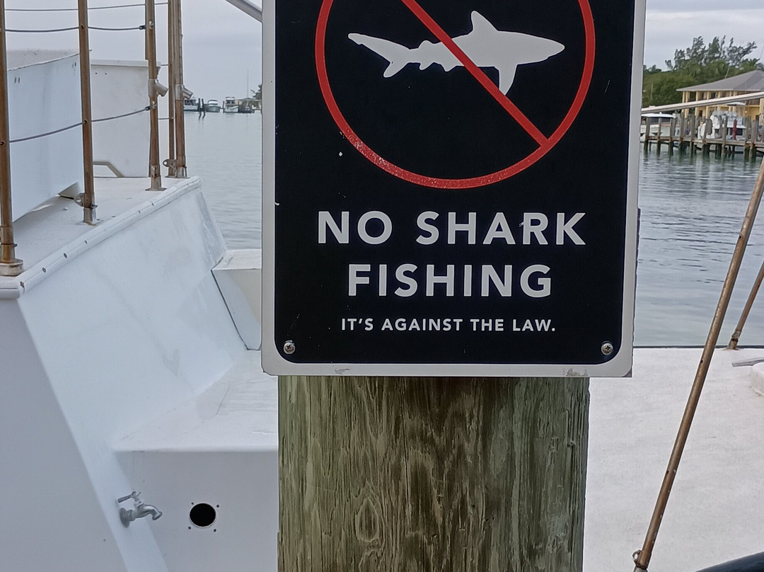 Neal Watson's Bimini Scuba Center-Alice Town必去景点