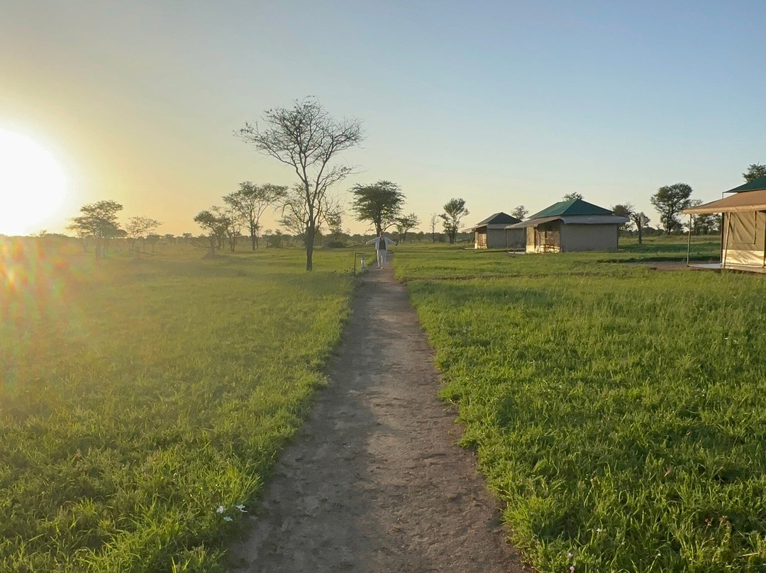 OSOTUA TENTED CAMPS-Ikoma必去景点