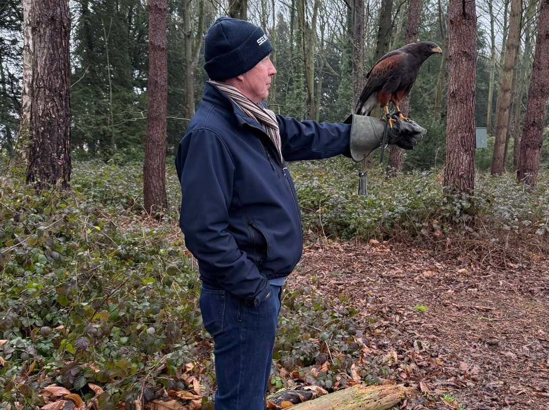 Bird of Prey Experiences - Hawkeye Falconry UK-Thoresby必去景点