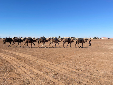 Sublime Desert-迈哈米德必去景点