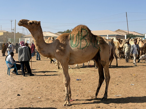 Sahan Tourism Somalia-Mogadishu必去景点