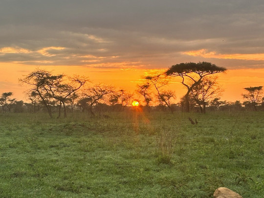 lets wander Tanzania-莫西必去景点