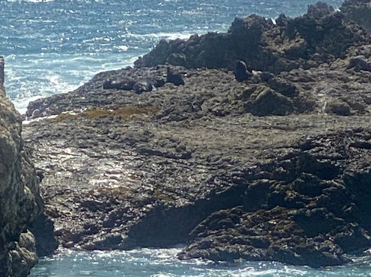 La Lobería-萨利纳斯必去景点