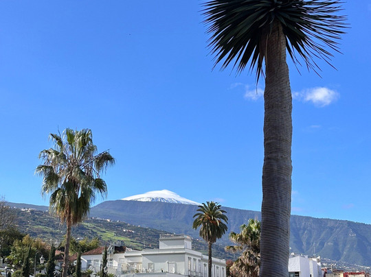 Jardines Victoria-La Orotava必去景点