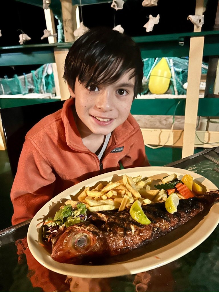 Conch Beach Cabins-官方