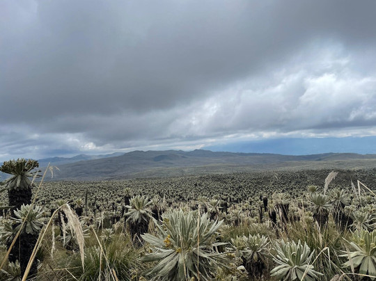 Reserva Ecologica El Ángel-El Angel必去景点