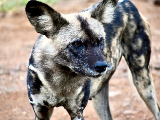 EverseenAfrica-霍德斯普鲁特必去景点