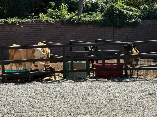 Rancho Orgánico El Edén-新瓦雅塔必去景点