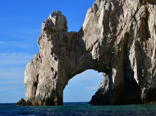 Whale Watch Cabo-卡波圣卢卡斯必去景点