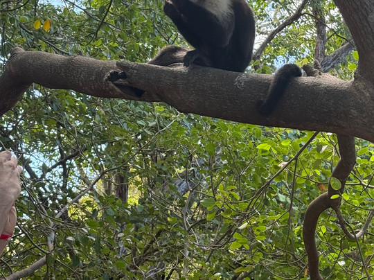Life Time Travel-萨迪纳尔必去景点
