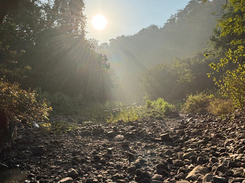 Jungle Buddies Tours-孟买必去景点