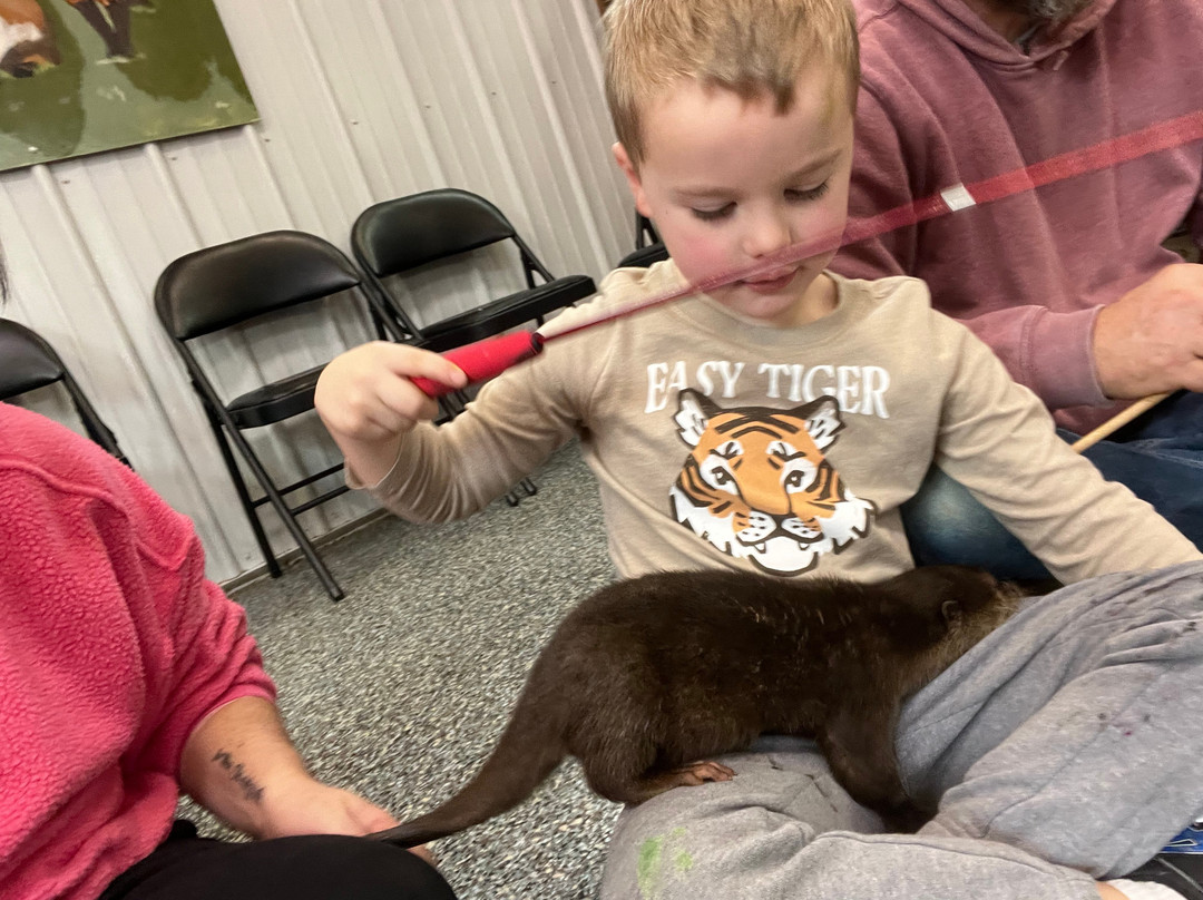Paws And Claws Animal Encounters-Bremen必去景点