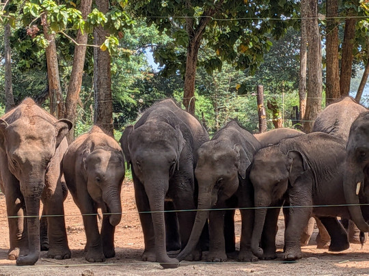 Sri-tours-St. Margarethen必去景点