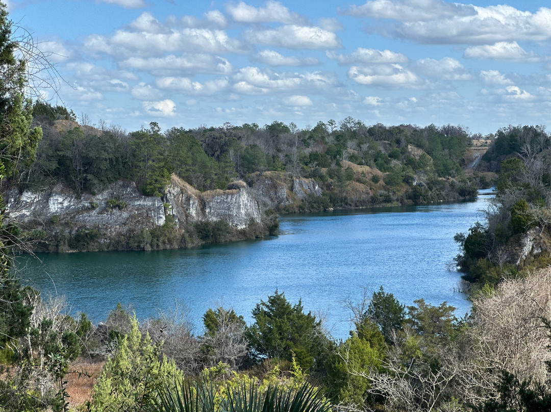 Canyons Zip Line & Canopy Tours-奥卡拉必去景点