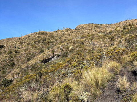 Paramo Trek Salento-萨伦托必去景点