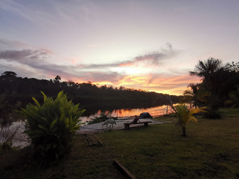 L'oiseau de Paradis主图