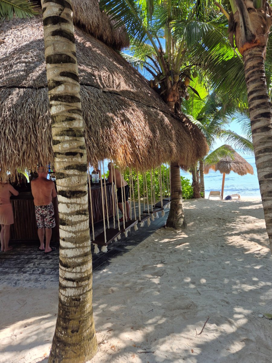 El Dorado Seaside Palms-官方