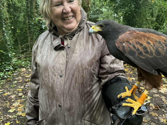 Ireland's School of Falconry-康镇必去景点