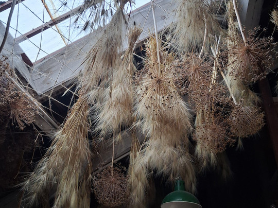 Clumber Park-沃克索普必去景点