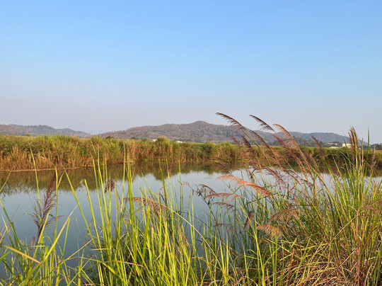 Rai Ruen Rom Organic Farm-清莱必去景点