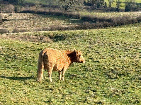 Offa's Dyke-Knighton必去景点