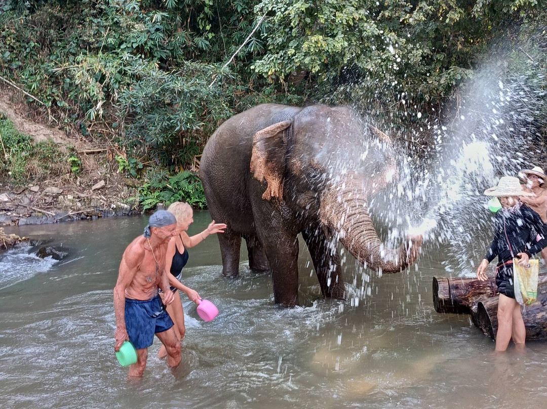 Chiangmai Elephant Heritage-清迈必去景点
