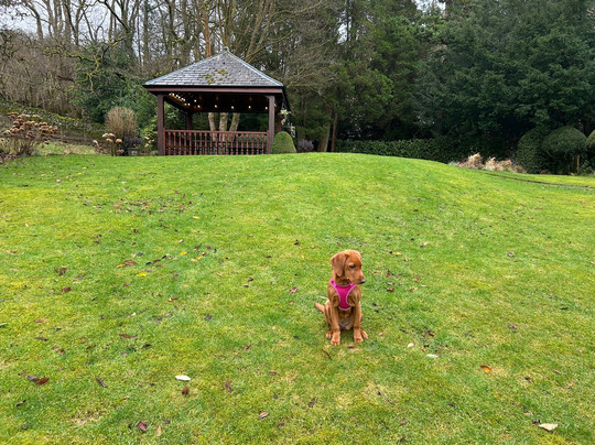 布瑞伍德乡村别墅酒店主图
