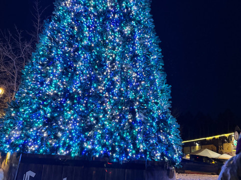 Frankenmuth Motel主图