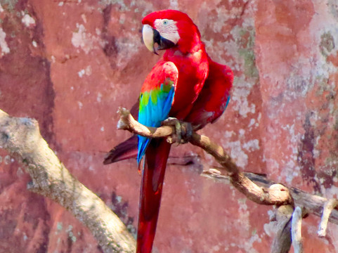 Buraco das Araras Ecoturismo-雅尔丁必去景点