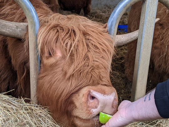 Colready Highlands-Brackley必去景点