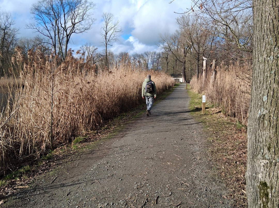 漂移沙丘住宿加早餐旅馆主图