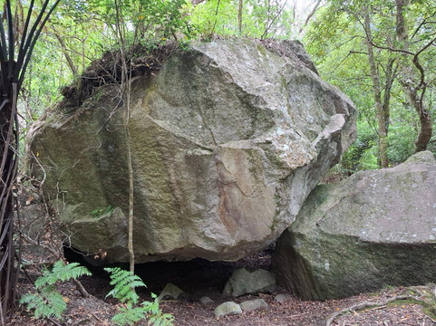 Tarawera Falls-普伦蒂湾大区必去景点