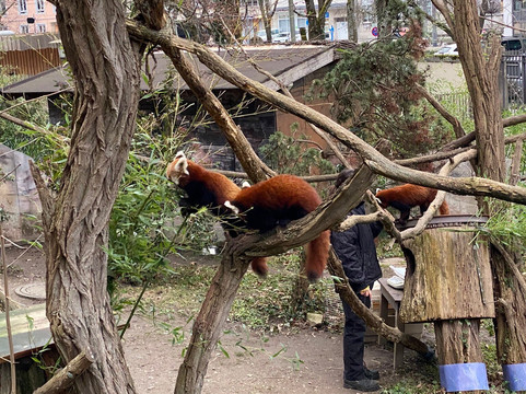 Zoo Karlsruhe-卡尔斯鲁厄必去景点