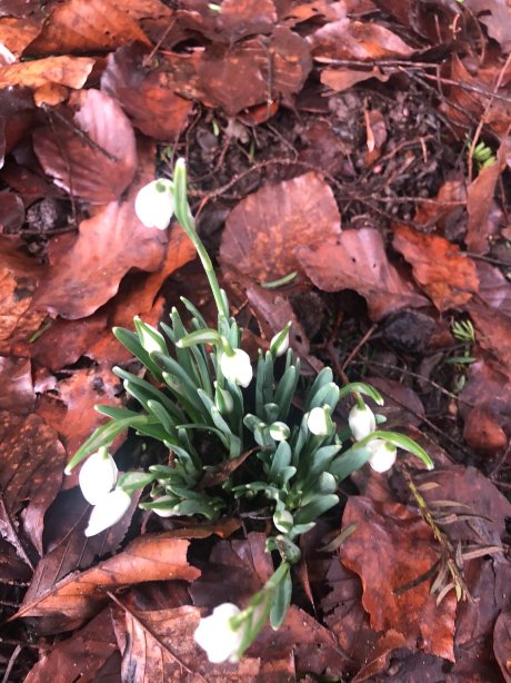 Hunting Tower-官方