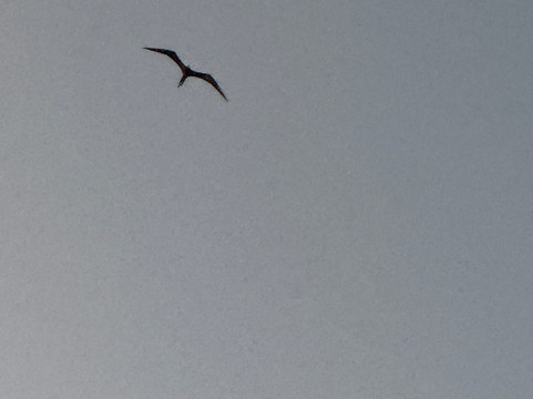 Melisa Sailing-Kralendijk必去景点