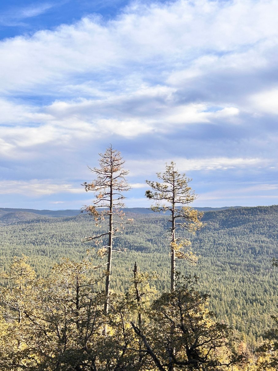 科尔牧场钻石山林小屋-官方