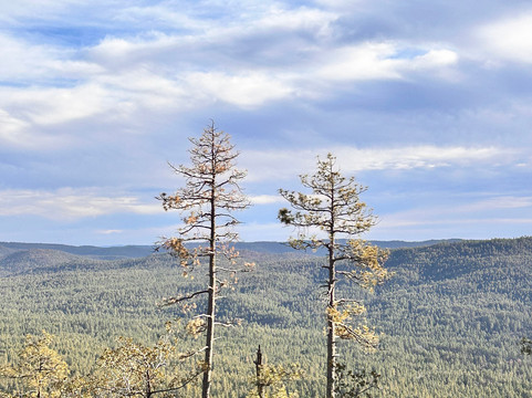 科尔牧场钻石山林小屋主图