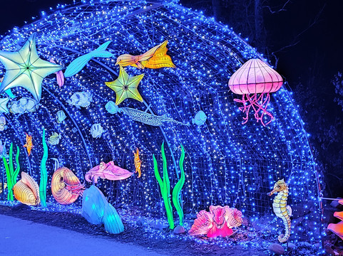 Safari De Peaugres-Peaugres必去景点