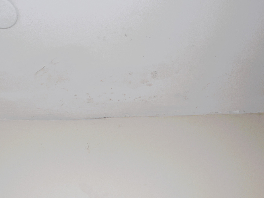 雷诺广场普兰特斯酒店主图