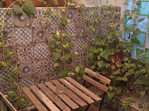 中心露台旅馆主图