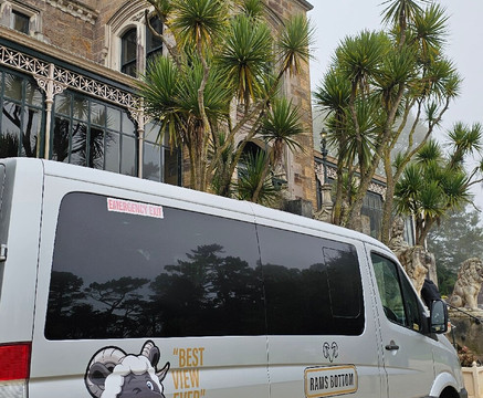 Rams Bottom Tours-但尼丁必去景点