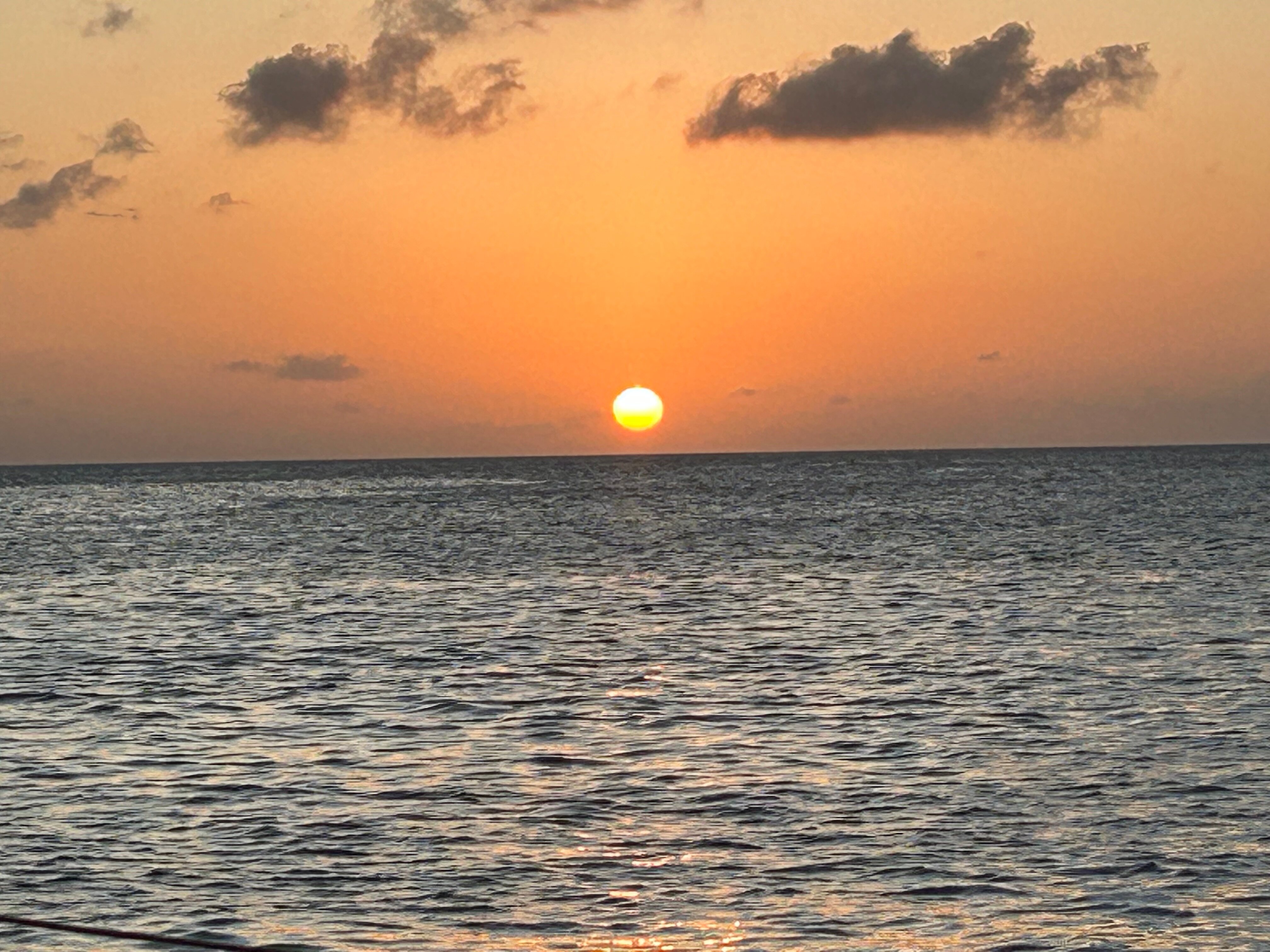 The Bellafonte - Luxury Oceanfront Hotel-官方