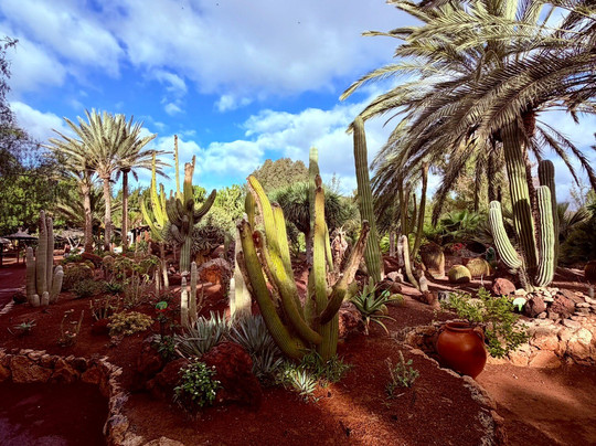 Mercado Agro Artesanal-La Lajita必去景点